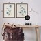 Stupell Industries Blue Botanical Herbs 2pc Floating Frame Set Design by Susan Jill